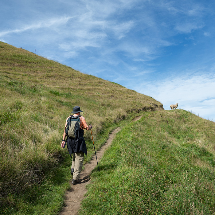 Hiker on path with dog