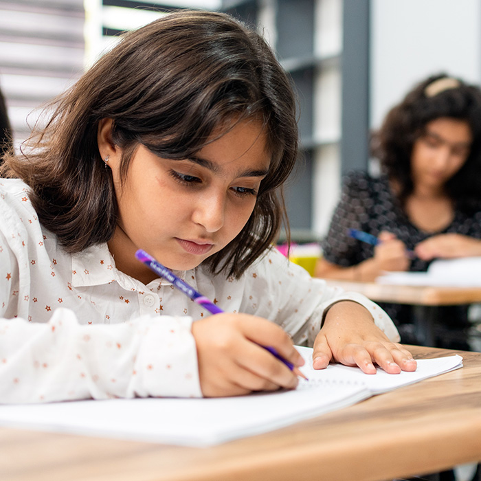 Young student in classroom