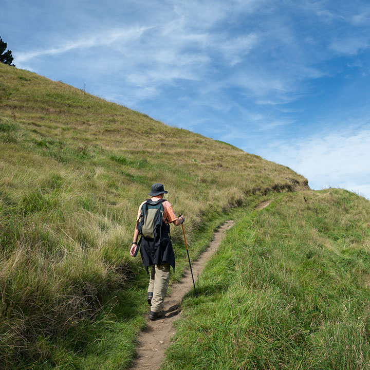 hiker nearing the top of a hill